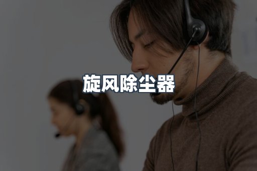 旋风除尘器